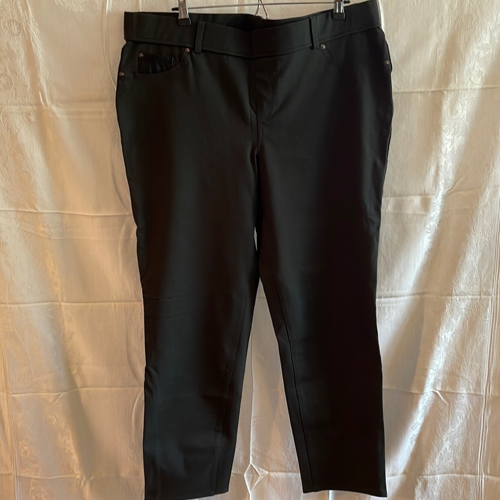 💥💥 FINAL SALE 💥💥Charter club size 20 W green stretch pants
